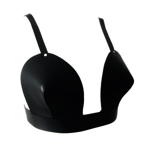 Bra FW 2311