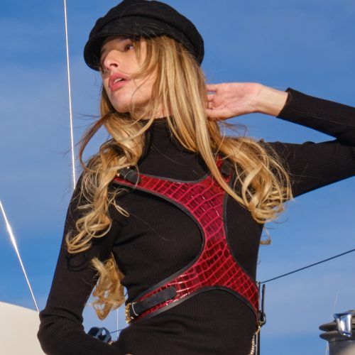 Arnés Fierce 6