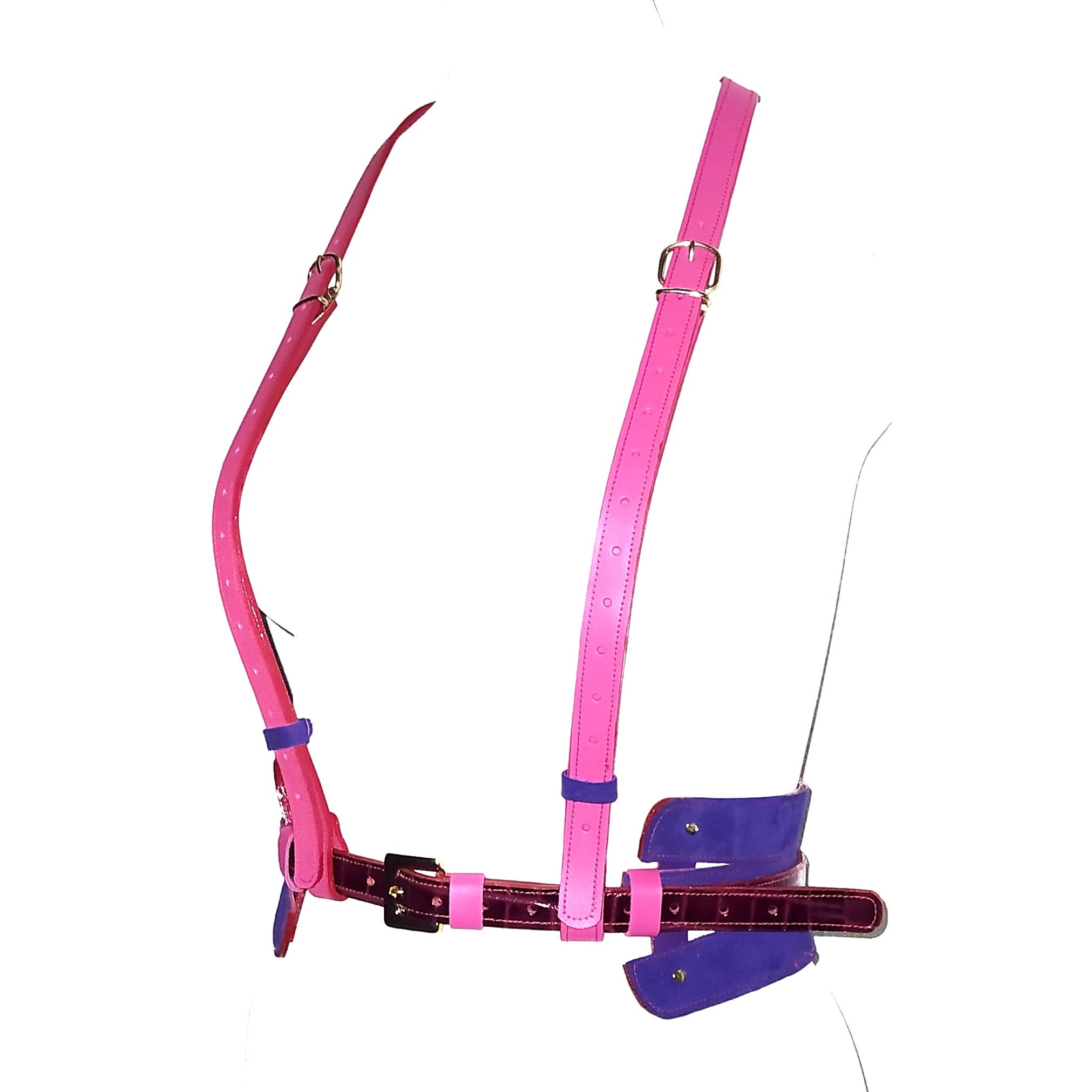Arnés SC.1 (transformable)